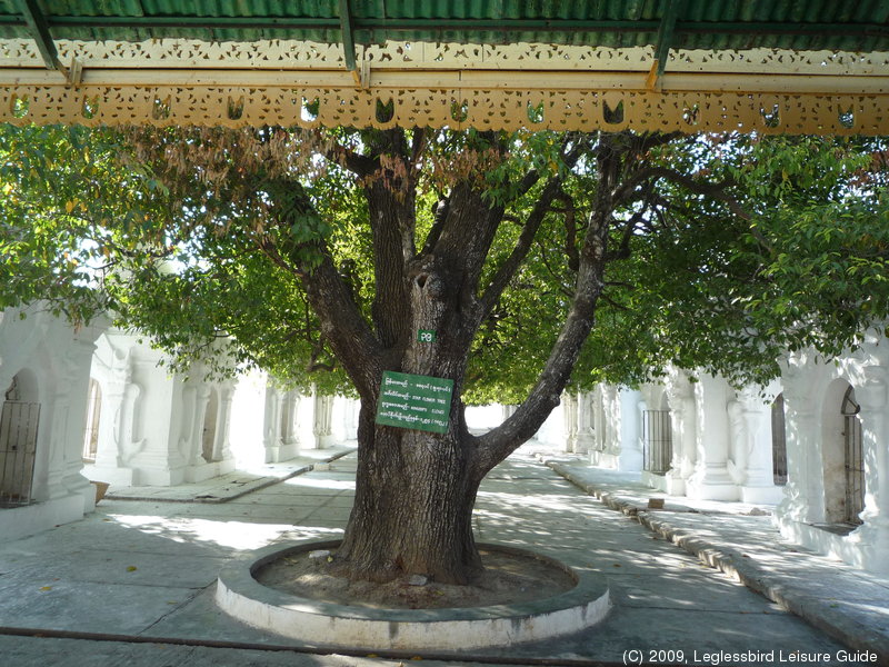 Kuthodaw Pagoda14